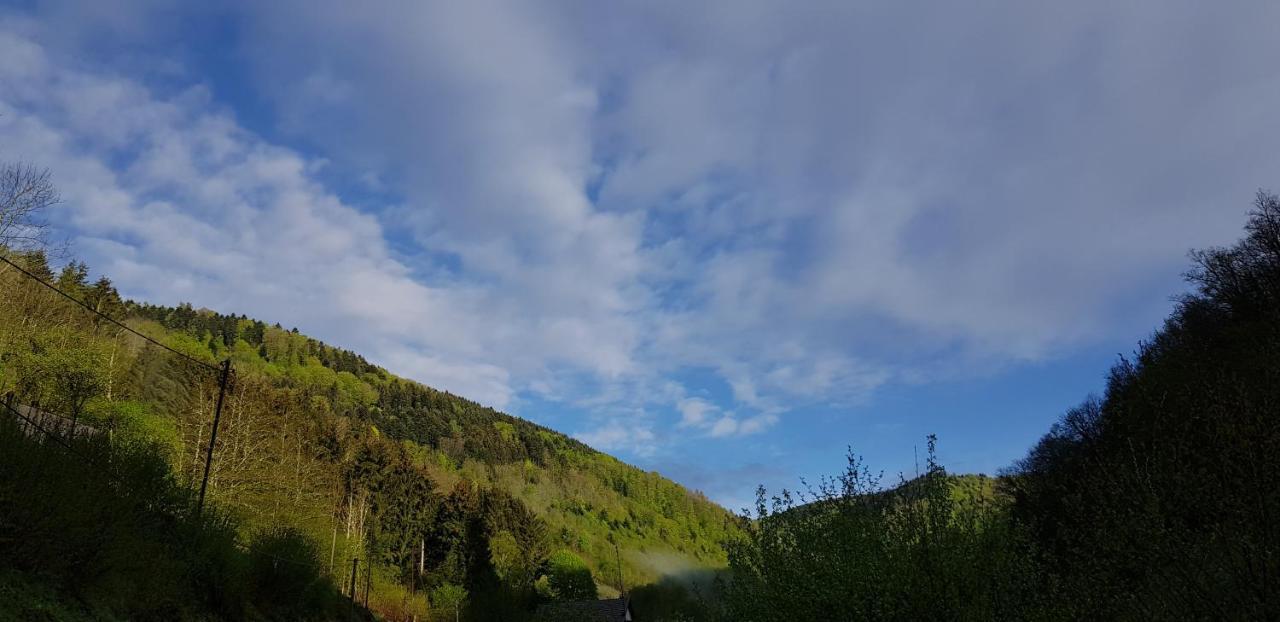 Gite Le Creux Chene Rombach-le-Franc Exterior foto